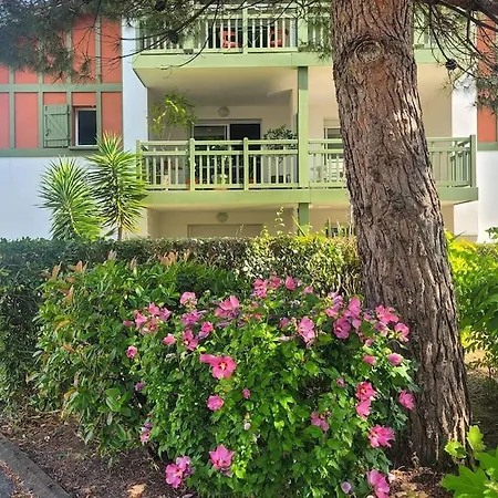 Berges Landaises - Grand T2 Avec Terrasse Exposee Sud Est Apartment *